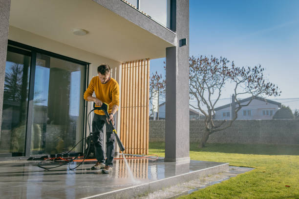 Best Pre-Holiday Cleaning  in Saticoy, CA