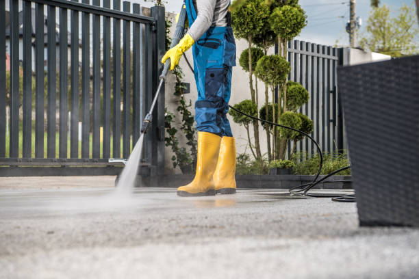 Best Driveway Pressure Washing  in Saticoy, CA
